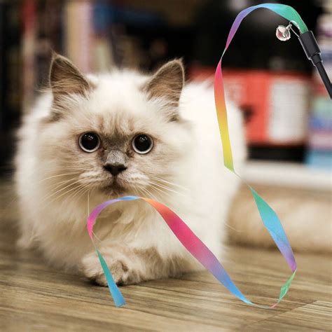 The Ultimate Guide to Choosing the Perfect Magical Instrument Kitty Plaything for Your Cat